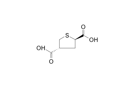 TRANS TETRAHYDROTHIOPHENE-2,4-DICARBOXYLIC ACID