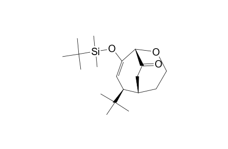 8-(TERT.-BUTYLDIMETHYLSILOXY)-6-TERT.-BUTYL-2-OXABICYCLO-[3.3.2]-DEC-7-EN-9-ONE