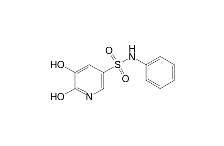 3-Pyridinesulfonamide, 5,6-dihydroxy-N-phenyl-