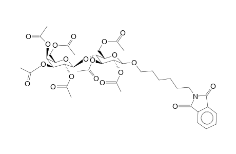 (6-Phthaloylimido-hexyl)-hepta-O-acetyl-d-lactoside