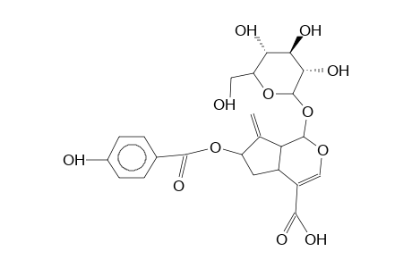 7-O-P-HYDROXYBENZOYLGARDOSIDE