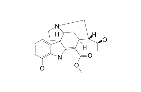 SCHOLARICINE