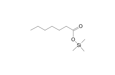 Heptanoic acid TMS