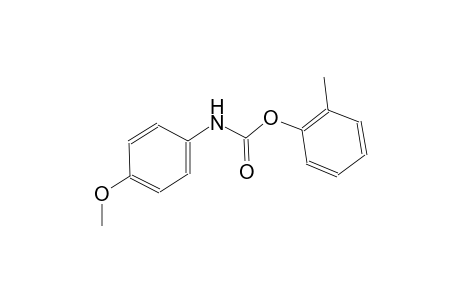 (4-Methoxy-phenyl)-carbamic acid o-tolyl ester