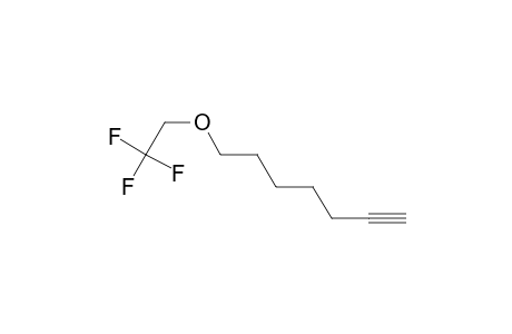 1-Heptyne, 7-(2,2,2-trifluoroethoxy)-