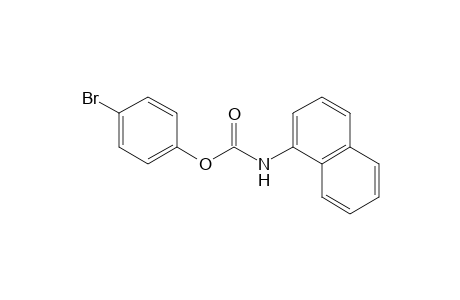 1-NAPTHALENECARBAMIC ACID, p-BROMOPHENYL ESTER