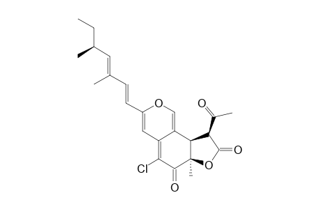 ISOCHROMOPHILONE-IA