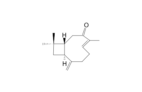 BUDDLEDIN-C