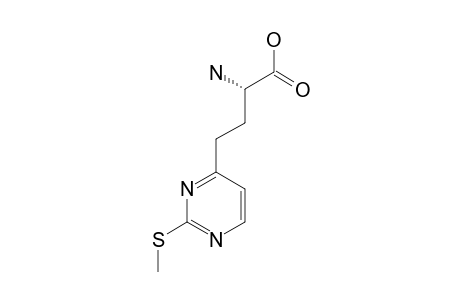 (S)-GAMMA-(2-METHYLTHIOPYRIMIDIN-4-YL)-ALPHA-AMINOBUTYRIC-ACID