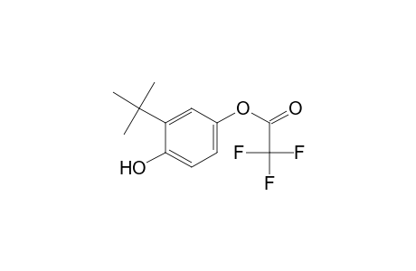 Acetic acid, 2,2,2-trifluoro-, 3-(1,1-dimethylethyl)-4-hydroxyphenyl ester