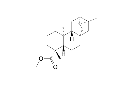 TRACHYLCARBONSAEUREMETHYLESTER