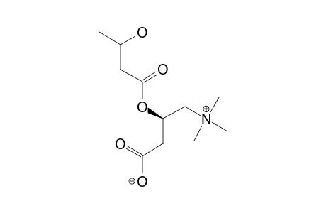 (R)-3-HYDROXY-BUTANOYL-(R)-CARNITINE