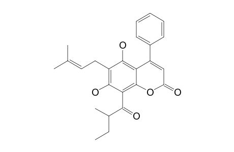 MAMMEA-A/BB