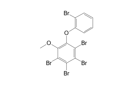 2-(2'-BrOMO-PHENOXY)-3,4,5,6-TETRA-BrOMO-ANISOLE