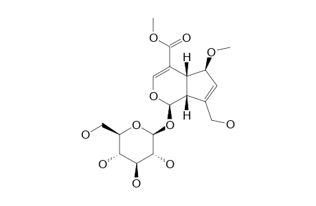 6-O-METHYLSCANDOSIDE-METHYLESTER