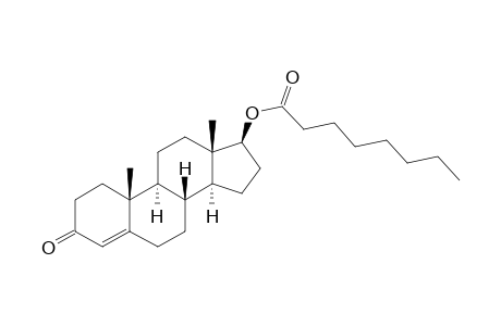 Testosterone octanoate