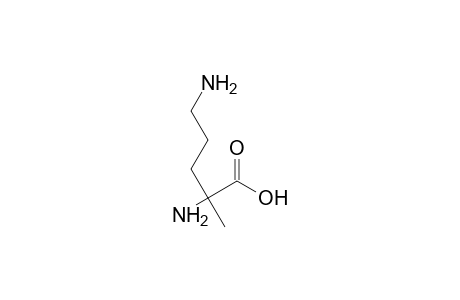 2-Methylornithine