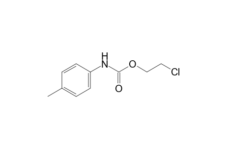 p-methylcarbanilic acid, 2-chloroethyl ester