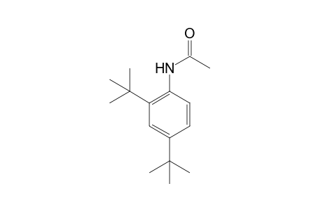 2',4'-DI-tert-BUTYLACETANILIDE