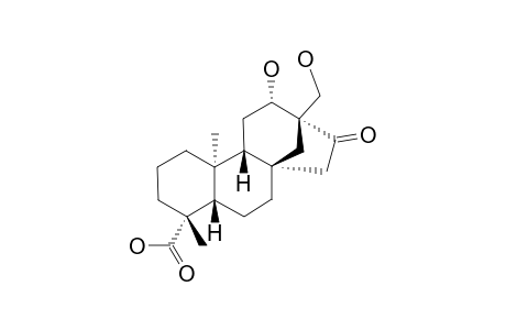 ENT-12-BETA,17-DIHYDROXY-16-KETOBEYERAN-19-OIC_ACID