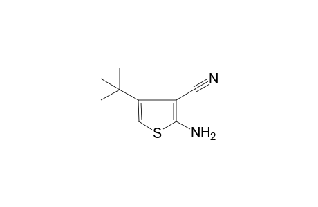 2-Amino-4-tert-butyl-3-thiophenecarbonitrile