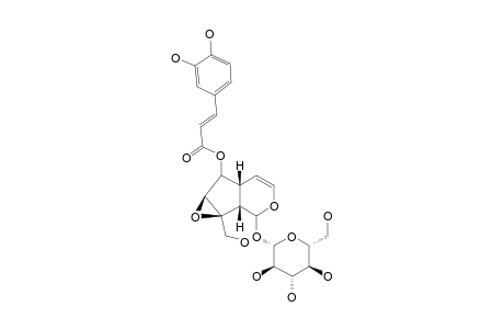 VERMINOSIDE