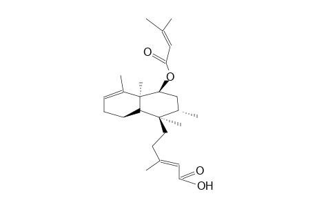 6-BETA-TIGLOYLOXYKOLAVENIC-ACID