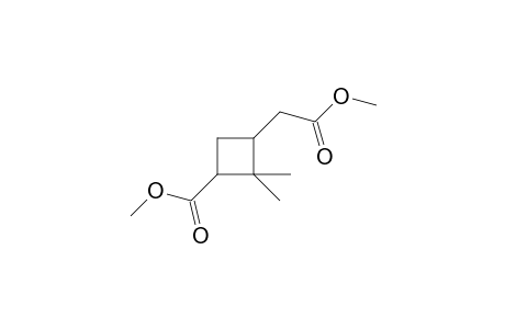 3-Carboxy-2,2-dimethyl-cyclobutaneacetic acid, dimethyl ester