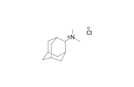 2-DIMETHYL-AMINO-ADAMANTANE-HYDROCHLORIDE