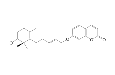 ASSAFOETIDIN