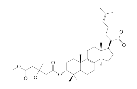 FOMITOPSIC-ACID;3-ALPHA-(4-CARBOXYMETHYL-3-HYDROXY-3-METHYLBUTANOYLOXY)-LANOSTA-8,24-DIEN-21-OIC-ACID