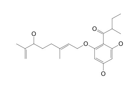 OLYMPICIN_C;4,6-DIHYDROXY-2-O-(6''-HYDROXY-3'',7''-DIMETHYL-2'',7''-OCTADIENYL)-1-(2'-METHYLBUTANOYL)-BENZENE