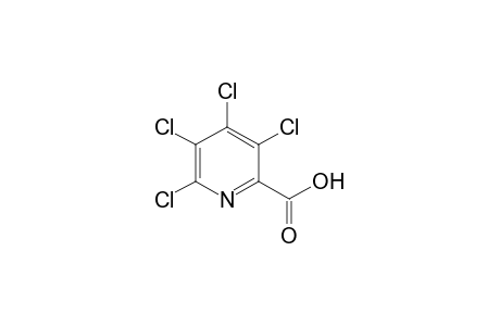 3,4,5,6-Tetrachloropyridine-2-carboxylic acid