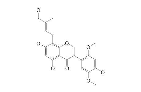 BRANDISIANIN_E