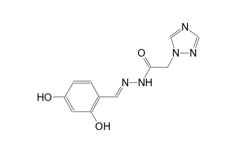 N'-[(E)-(2,4-dihydroxyphenyl)methylidene]-2-(1H-1,2,4-triazol-1-yl)acetohydrazide