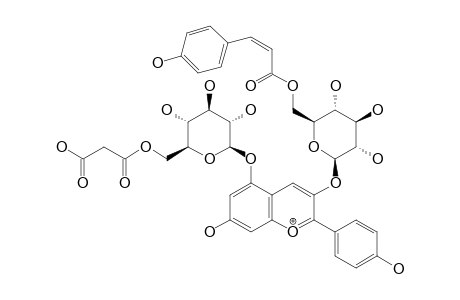 PELARGONIDIN_3-O-(6-O-TRANS-PARA-COUMARYL-BETA-D-GLUCOSIDE)-5-O-(6-O-MALONYL-BETA-D-GLUCOSIDE)