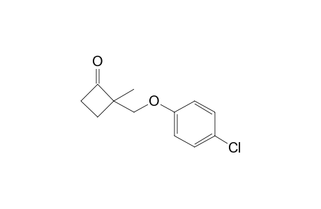 2-[(4-chloranylphenoxy)methyl]-2-methyl-cyclobutan-1-one