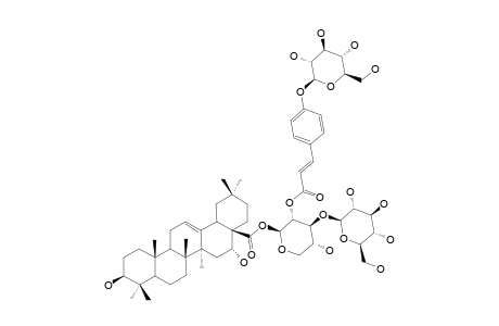 28-O-[GLUCOPYRANOSYL-(1->3)-2-[GLUCOPYRANOSYL-(1->4)-COUMAROYLOXY]-XYLOPYRANOSYL]-ECHINOCYSTIC-ACID-ESTER