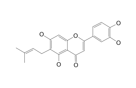 GANCAONINO