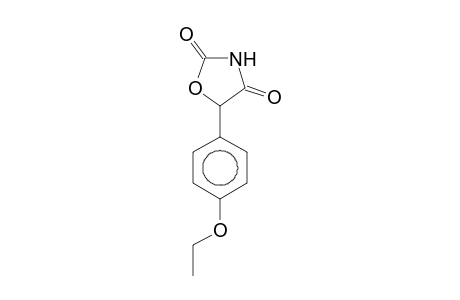 Oxazolidine-2,4-dione, 5-(4-ethoxyphenyl)-