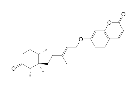 SINKIANONE