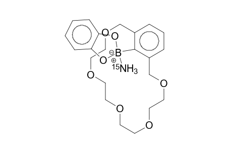 1,3-Xylyl-18-crown-5,2-(benzo-1,3,2-dioxaborol-2-yl)-, *(15)NH3