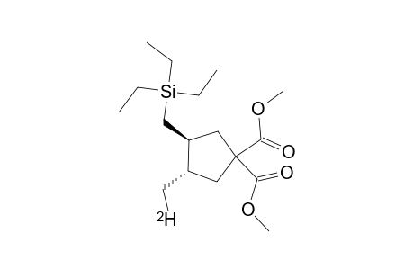 TRANS,TRANS-1,1-DICARBOMETHOXY-4-(TRIETHYLSILYLMETHYL)-3-METHYLCYCLOPENTANE