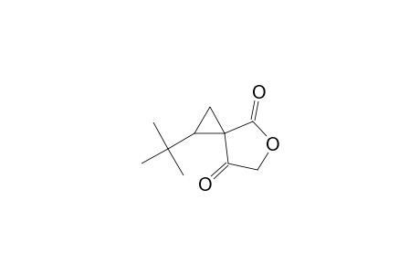 5-Oxaspiro[2.4]heptane-4,7-dione, 1-(1,1-dimethylethyl)-