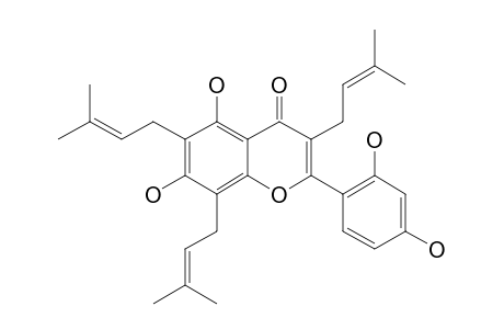 ARTELASTICIN