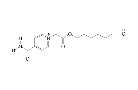 4-carbamoyl-1-(carboxymethyl)pyridinium chloride, hexyl ester