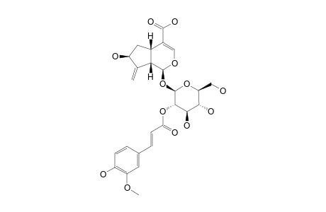 2'-O-(TRANS)-FERULOYL-GARDOSIDE