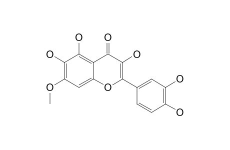 QUERCETAGETIN-7-METHYLETHER