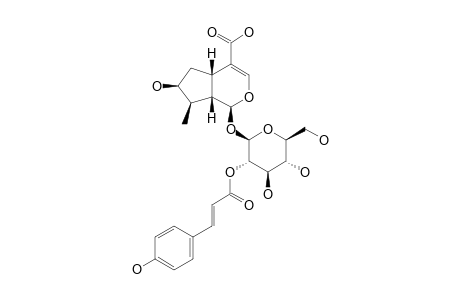 2'-O-TRANS-PARA-COUMAROYL-LOGANIC-ACID