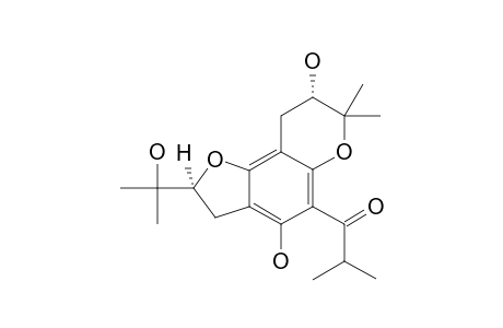 GARCINIELLIPTONE-HA